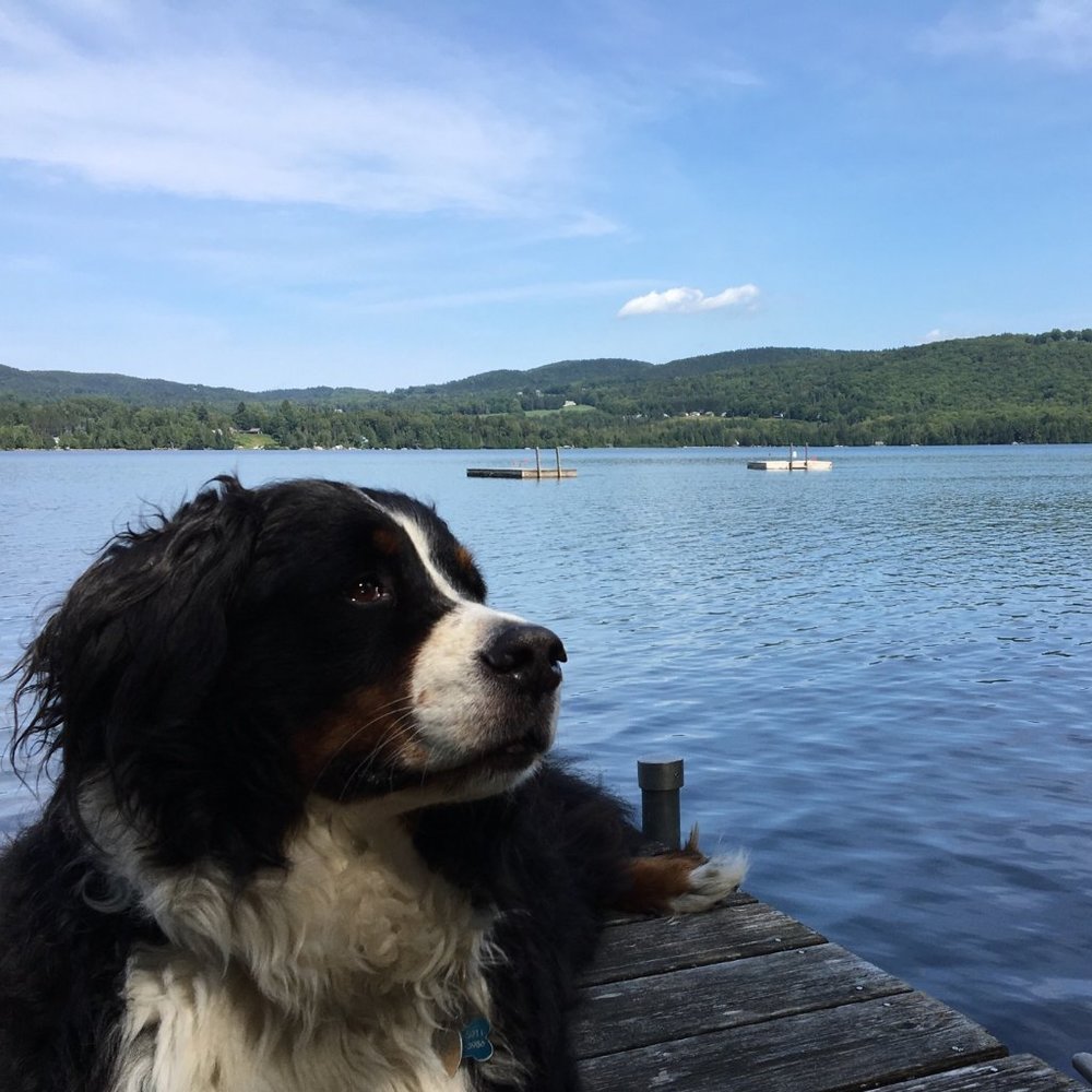 Meet your Posher, MJ